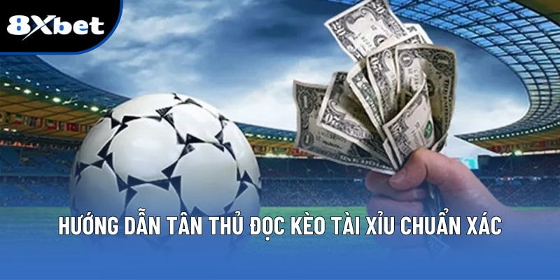 Tài Xỉu 1 Trái - Cách Chơi Hiệu Quả Cho Người Mới Tại 8XBET