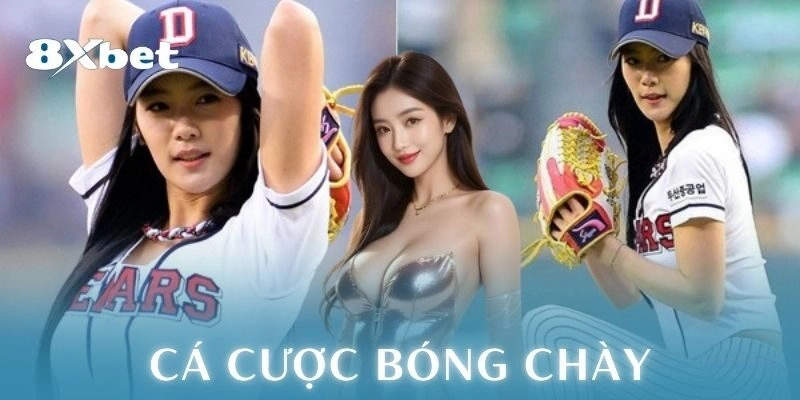 Tầm quan trọng khi soi kèo bóng chày