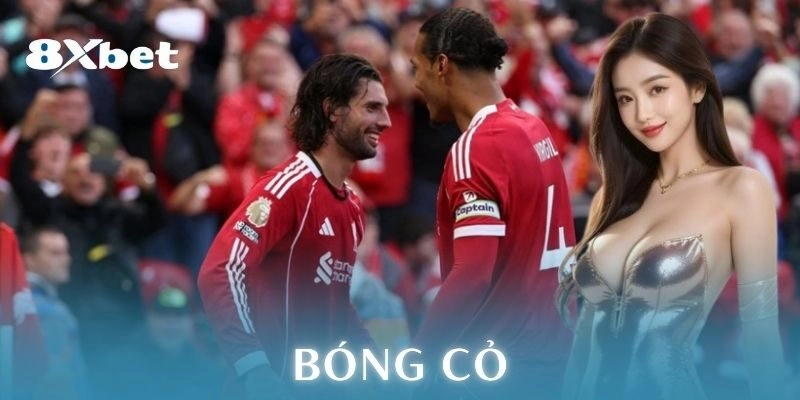 Bóng cỏ – Cách đánh kèo nhỏ thắng lớn kịch trần 3 Ví dụ cách chơi cụ thể bóng cỏ